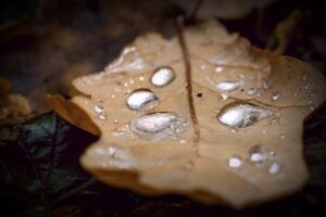 herfst in je relatie