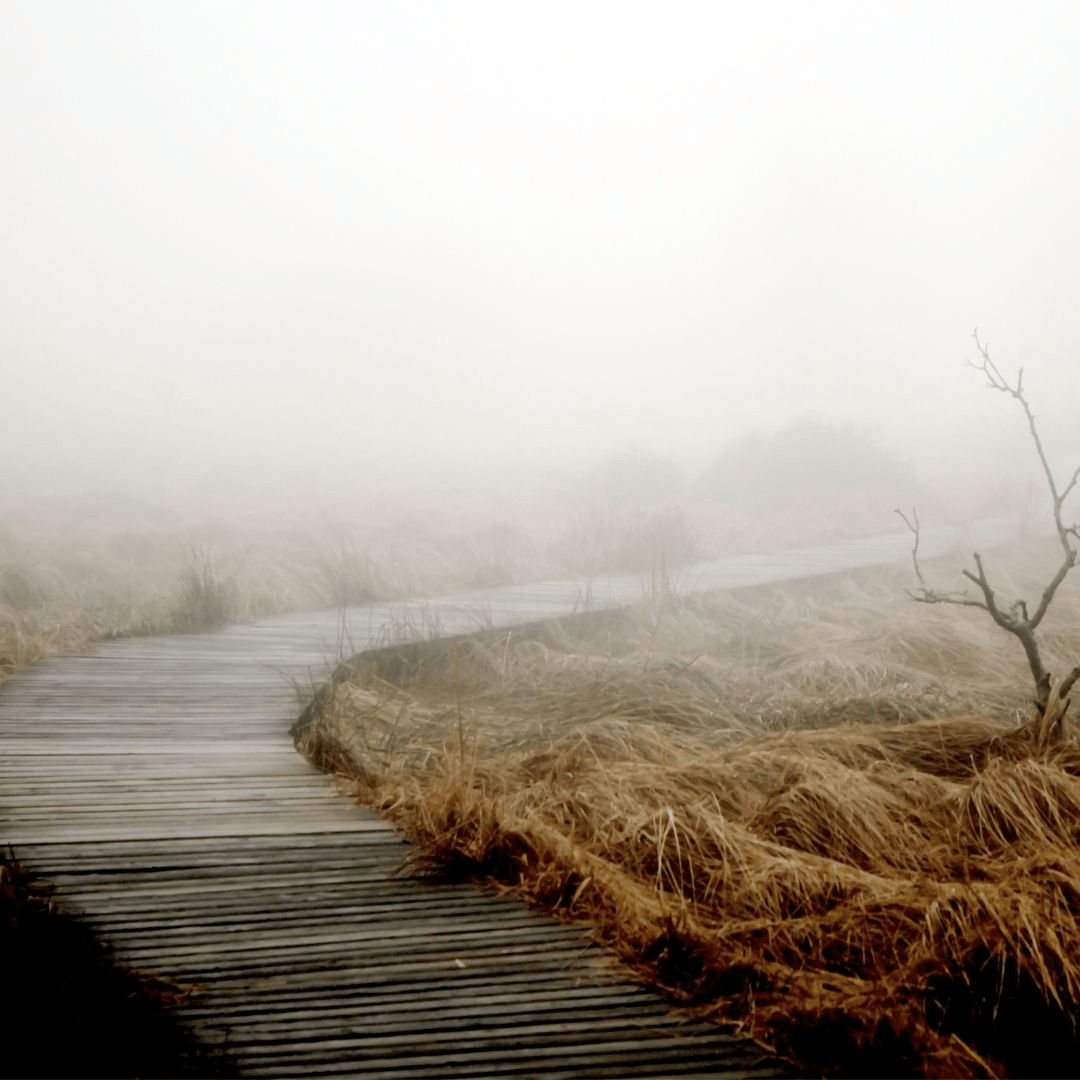 van obstakels naar opstapjes